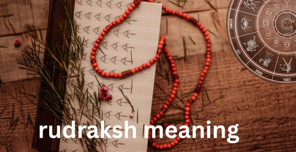 rudraksh meaning